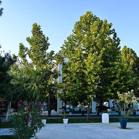 Mesecev Konak Bed & Breakfast Ni Dış mekan fotoğraf