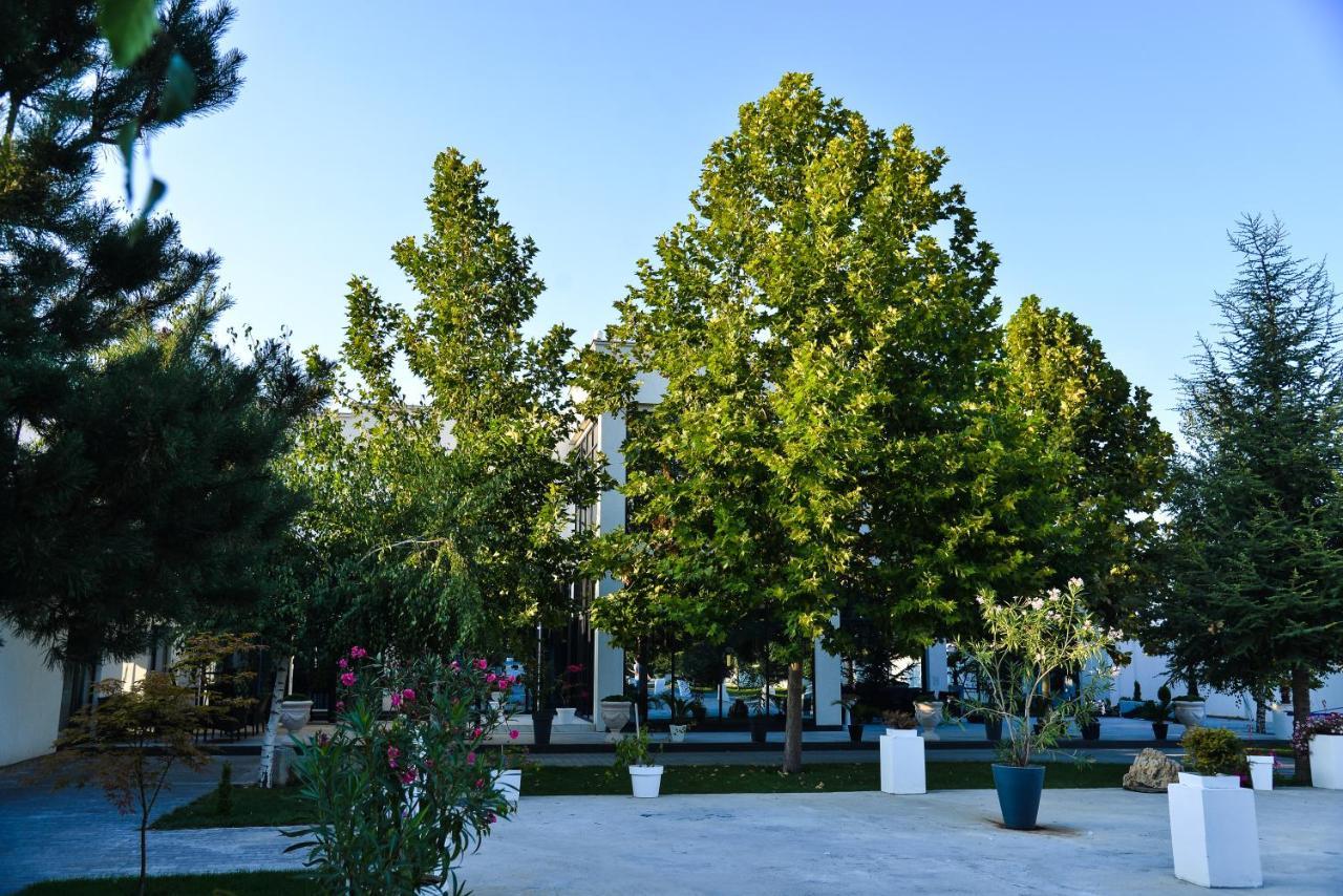 Mesecev Konak Bed & Breakfast Ni Dış mekan fotoğraf