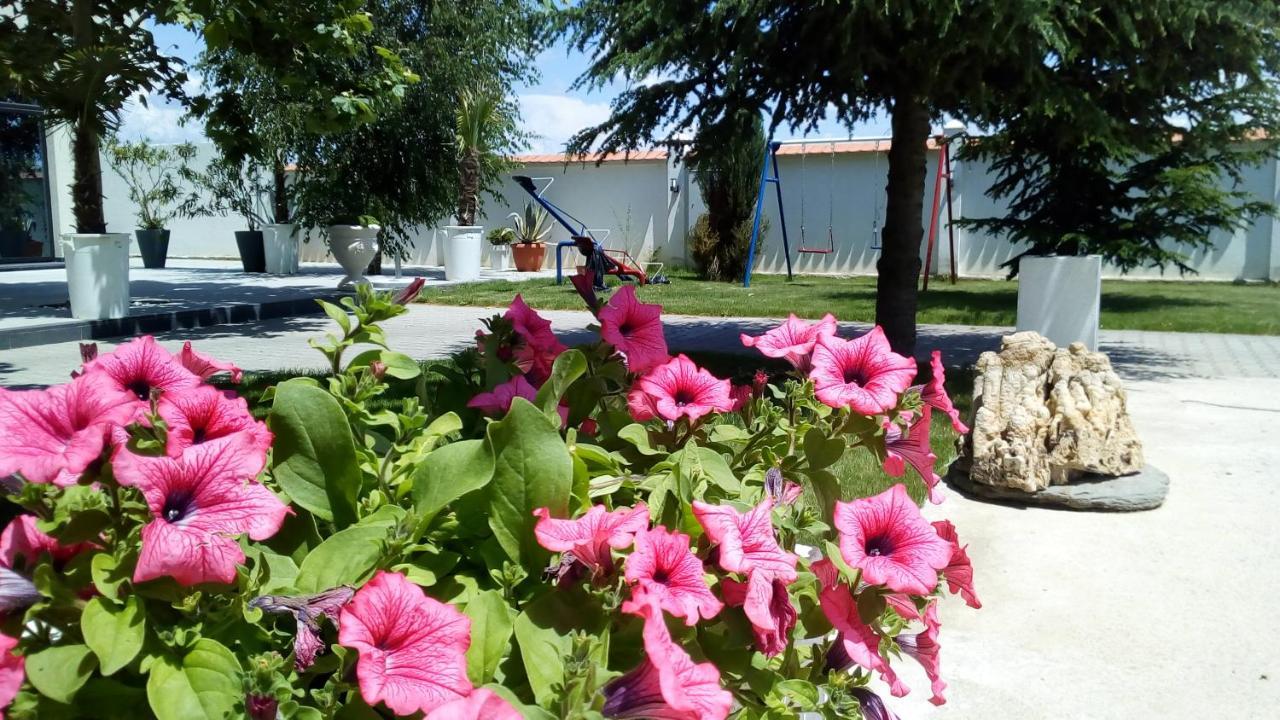 Mesecev Konak Bed & Breakfast Ni Dış mekan fotoğraf