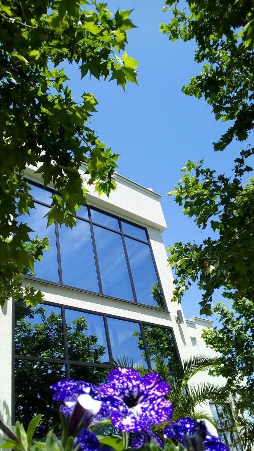 Mesecev Konak Bed & Breakfast Ni Dış mekan fotoğraf