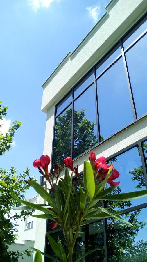 Mesecev Konak Bed & Breakfast Ni Dış mekan fotoğraf