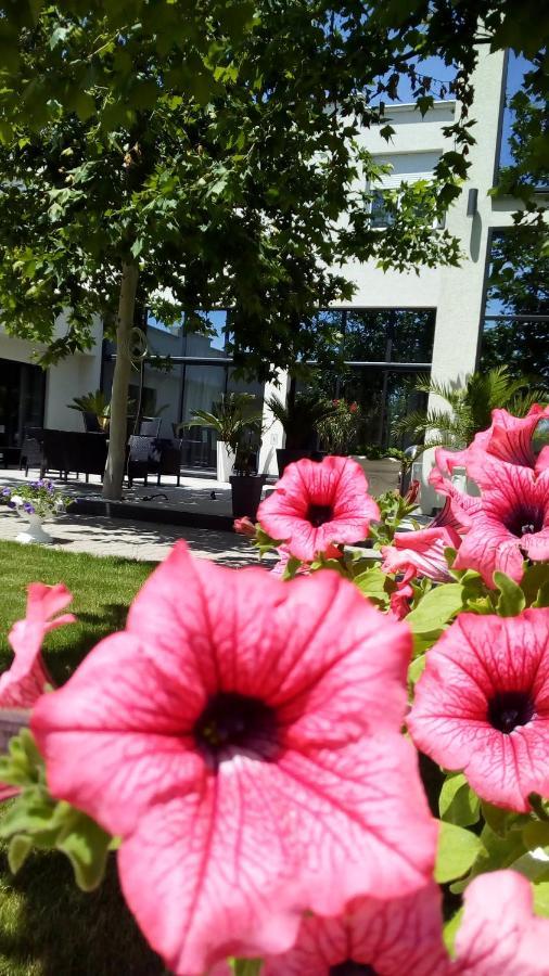 Mesecev Konak Bed & Breakfast Ni Dış mekan fotoğraf