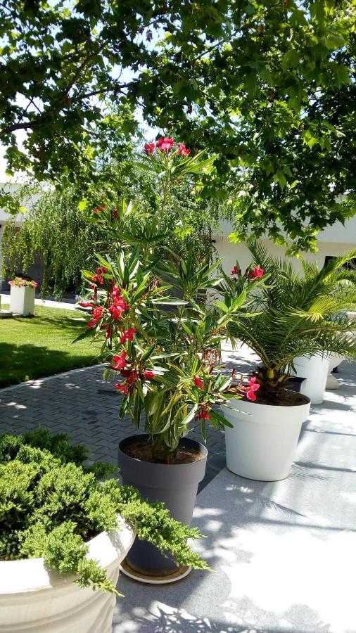 Mesecev Konak Bed & Breakfast Ni Dış mekan fotoğraf